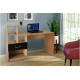 Письменный стол СК 20