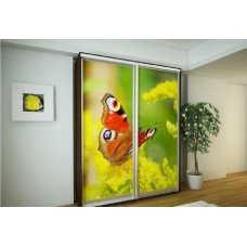 Шафа купе 160х220х45/60 см